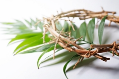 PalmSunday